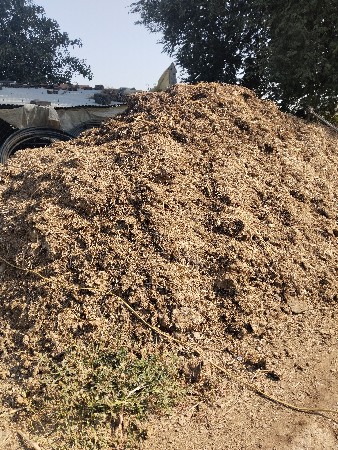 deshi chanyou khatar