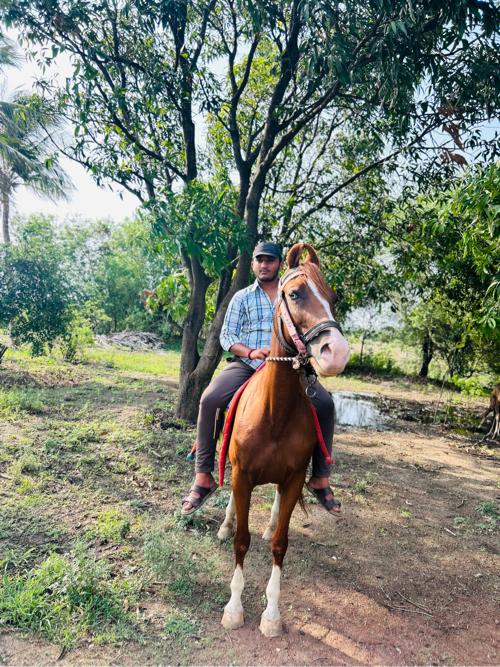 थंबनेल 3