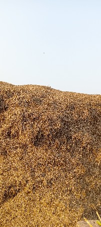 મગફળી નો ભુક્કો