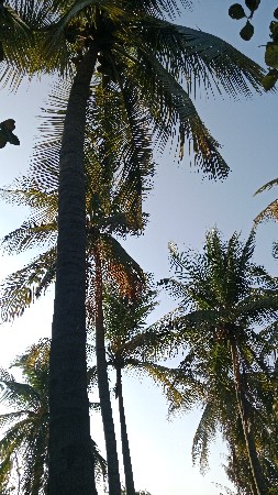 थंबनेल 2