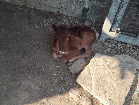 थंबनेल 2