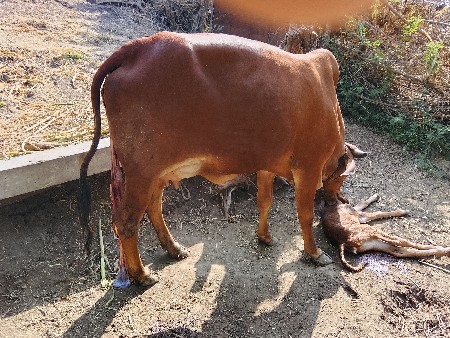 थंबनेल 3