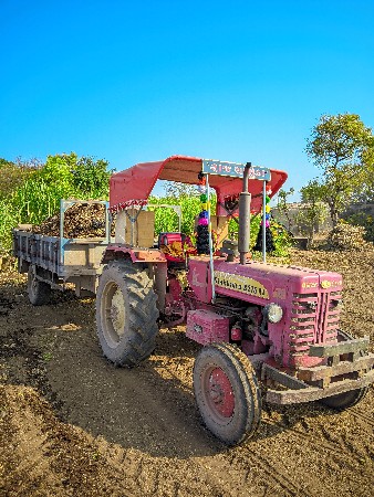 थंबनेल 2