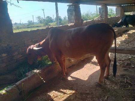 थंबनेल 2