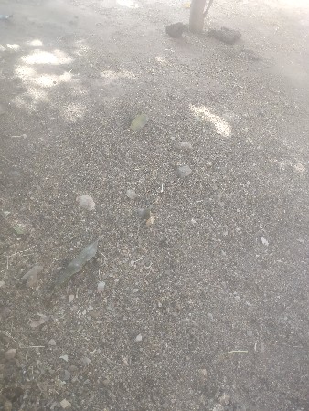 વેચવા નો છે