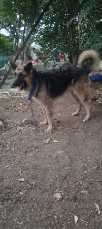 थंबनेल 2