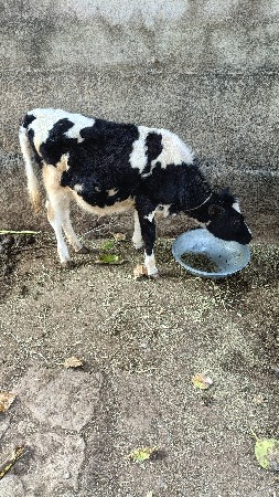 થંબનેલ 3