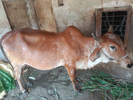 थंबनेल 3