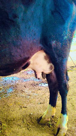 થંબનેલ 3