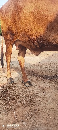 थंबनेल 2