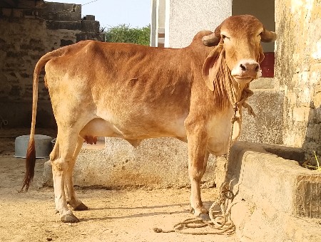 थंबनेल 2