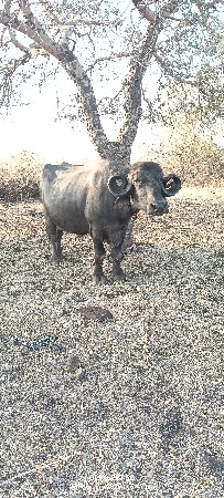 થંબનેલ 3