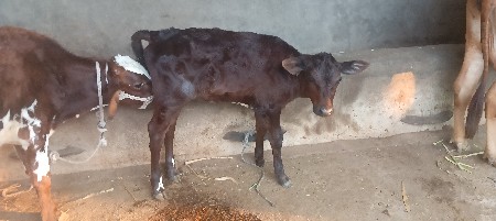 थंबनेल 2