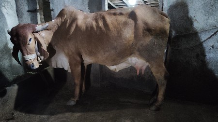 थंबनेल 3