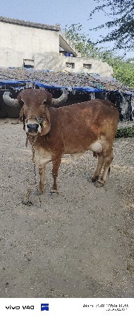 थंबनेल 2