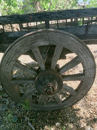 થંબનેલ 2