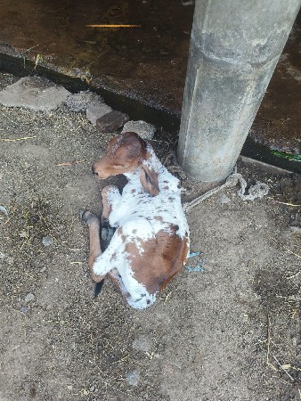 थंबनेल 3