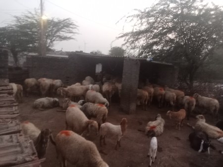 થંબનેલ 3