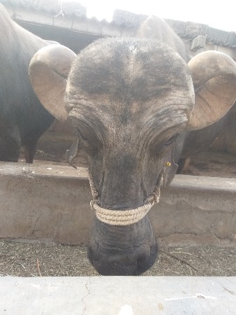 थंबनेल 3