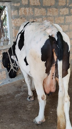 थंबनेल 3