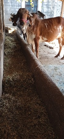 थंबनेल 3