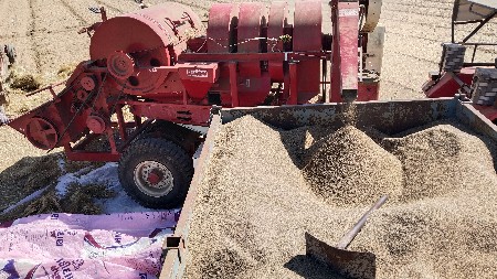 marthin mahavir model