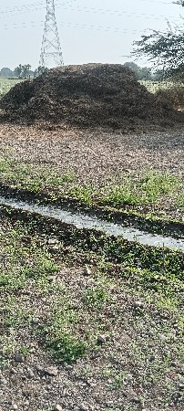 ભૂકો વેચવાનો સે 10વીઘાનો