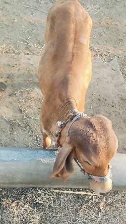 थंबनेल 2