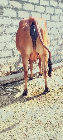 थंबनेल 3