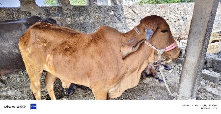 थंबनेल 3