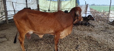 थंबनेल 3