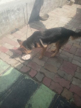 थंबनेल 2