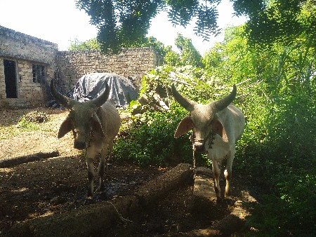 થંબનેલ 3