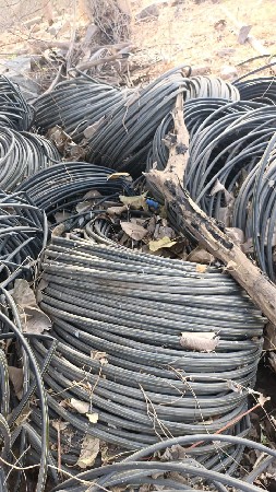 થંબનેલ 6