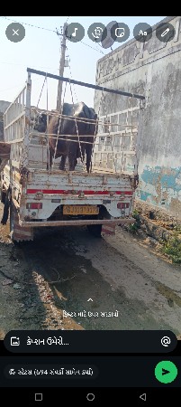 tata સુપર એસ