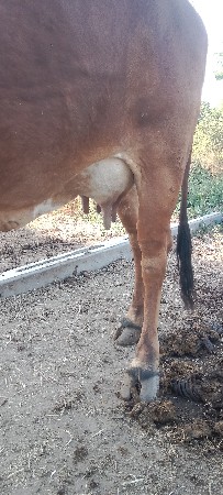 थंबनेल 2