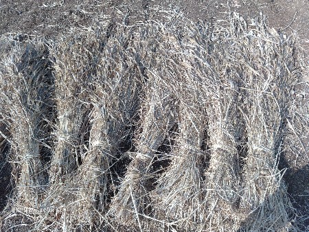 નીર વેચવાની છે શપડયાર નીર છે