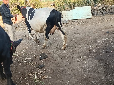 थंबनेल 3