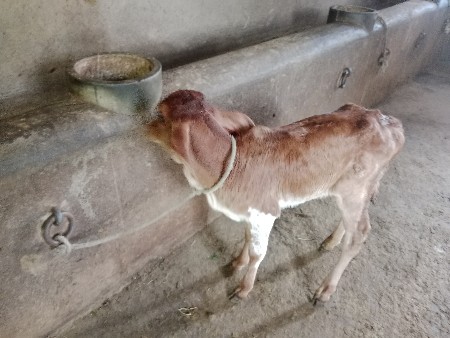 થંબનેલ 3