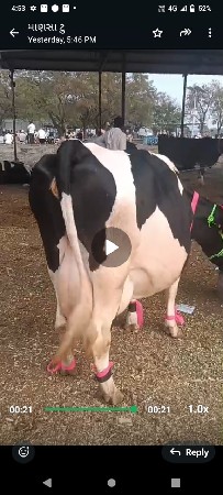 બીજું વેધર