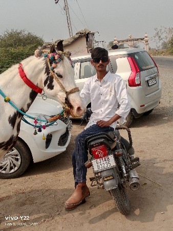 थंबनेल 3