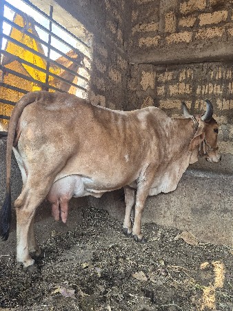 थंबनेल 2