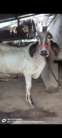 थंबनेल 2