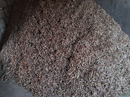 સારો વેચવાનો છે