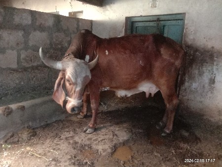 थंबनेल 2