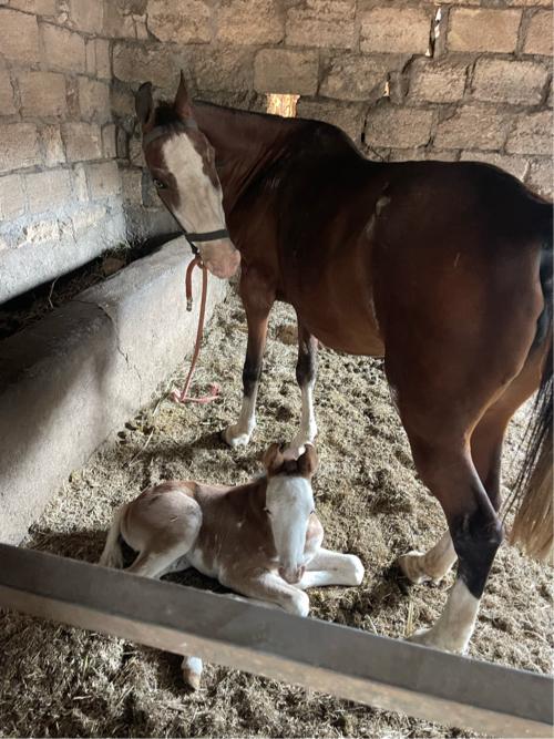 थंबनेल 2