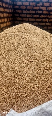 ઘઉં ટુકડા 496 વેચવાના છે