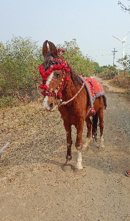 थंबनेल 2