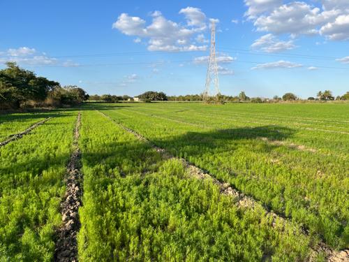 थंबनेल 2