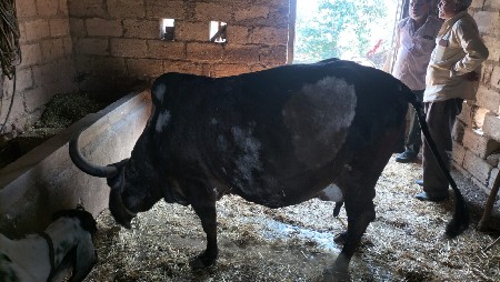 थंबनेल 3